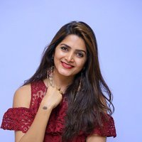 Pavani Gangireddy at 9 Movie Teaser Launch Photos | Picture 1496419