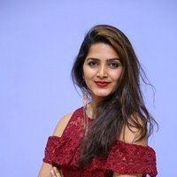 Pavani Gangireddy at 9 Movie Teaser Launch Photos | Picture 1496423