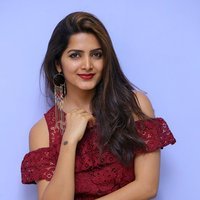 Pavani Gangireddy at 9 Movie Teaser Launch Photos | Picture 1496403