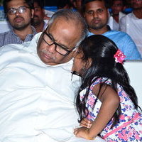 Radha Pre Release Event Photos | Picture 1496659