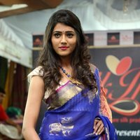 Shalu Chourasiya - Silk India Expo 2017 Fashion Show Hyderabad Photos | Picture 1497316