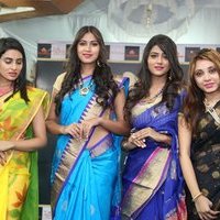 Silk India Expo 2017 Fashion Show Hyderabad Photos | Picture 1497332