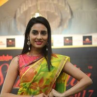 Silk India Expo 2017 Fashion Show Hyderabad Photos | Picture 1497304