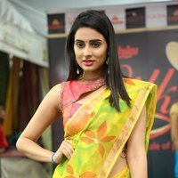 Silk India Expo 2017 Fashion Show Hyderabad Photos | Picture 1497324