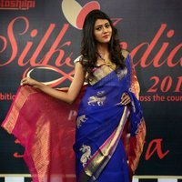 Shalu Chourasiya - Silk India Expo 2017 Fashion Show Hyderabad Photos | Picture 1497315