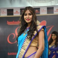 Silk India Expo 2017 Fashion Show Hyderabad Photos