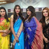 Silk India Expo 2017 Fashion Show Hyderabad Photos | Picture 1497331