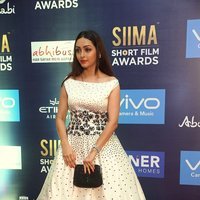 Actress Pooja Salvi at SIIMA Short Films Awards 2017 Photos | Picture 1498722