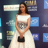 Actress Pooja Salvi at SIIMA Short Films Awards 2017 Photos | Picture 1498725
