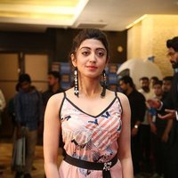 Pranitha Subhash at SIIMA Short Films Awards 2017 Photos | Picture 1498682
