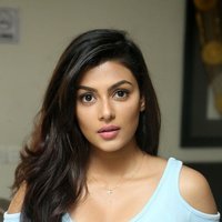 Anisha Ambrose Photoshoot during Interview Of Fashion Designer Son Of Ladies Tailor | Picture 1499052