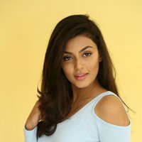 Anisha Ambrose Photoshoot during Interview Of Fashion Designer Son Of Ladies Tailor | Picture 1498972