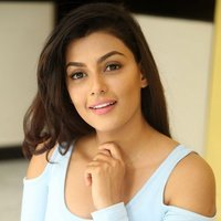 Anisha Ambrose Photoshoot during Interview Of Fashion Designer Son Of Ladies Tailor | Picture 1499029