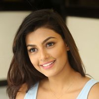 Anisha Ambrose Photoshoot during Interview Of Fashion Designer Son Of Ladies Tailor | Picture 1499032