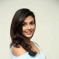 Anisha Ambrose Photoshoot during Interview Of Fashion Designer Son Of Ladies Tailor | Picture 1498942