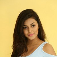 Anisha Ambrose Photoshoot during Interview Of Fashion Designer Son Of Ladies Tailor | Picture 1498990