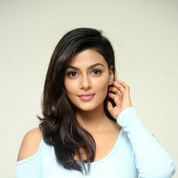 Anisha Ambrose Photoshoot during Interview Of Fashion Designer Son Of Ladies Tailor | Picture 1498936