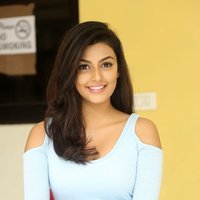 Anisha Ambrose Photoshoot during Interview Of Fashion Designer Son Of Ladies Tailor | Picture 1499004