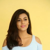Anisha Ambrose Photoshoot during Interview Of Fashion Designer Son Of Ladies Tailor | Picture 1498968