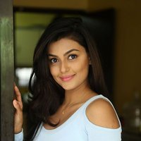 Anisha Ambrose Photoshoot during Interview Of Fashion Designer Son Of Ladies Tailor | Picture 1499043