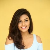 Anisha Ambrose Photoshoot during Interview Of Fashion Designer Son Of Ladies Tailor | Picture 1499013