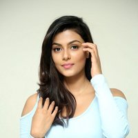 Anisha Ambrose Photoshoot during Interview Of Fashion Designer Son Of Ladies Tailor | Picture 1498935