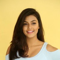 Anisha Ambrose Photoshoot during Interview Of Fashion Designer Son Of Ladies Tailor | Picture 1498971