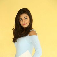 Anisha Ambrose Photoshoot during Interview Of Fashion Designer Son Of Ladies Tailor | Picture 1498950