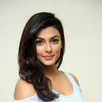 Anisha Ambrose Photoshoot during Interview Of Fashion Designer Son Of Ladies Tailor | Picture 1498938