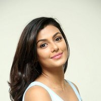Anisha Ambrose Photoshoot during Interview Of Fashion Designer Son Of Ladies Tailor | Picture 1498944