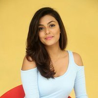 Anisha Ambrose Photoshoot during Interview Of Fashion Designer Son Of Ladies Tailor | Picture 1499011