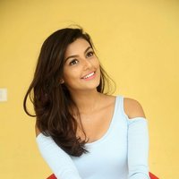 Anisha Ambrose Photoshoot during Interview Of Fashion Designer Son Of Ladies Tailor | Picture 1499007