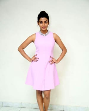 Anisha Ambrose Latest Photoshoot during an Interview | Picture 1542857