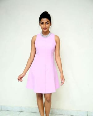 Anisha Ambrose Latest Photoshoot during an Interview | Picture 1542864