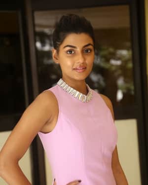 Anisha Ambrose Latest Photoshoot during an Interview | Picture 1542890