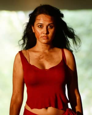 Nisha Kothari Hot Stills In O Ravana Lanka Movie | Picture 1546197
