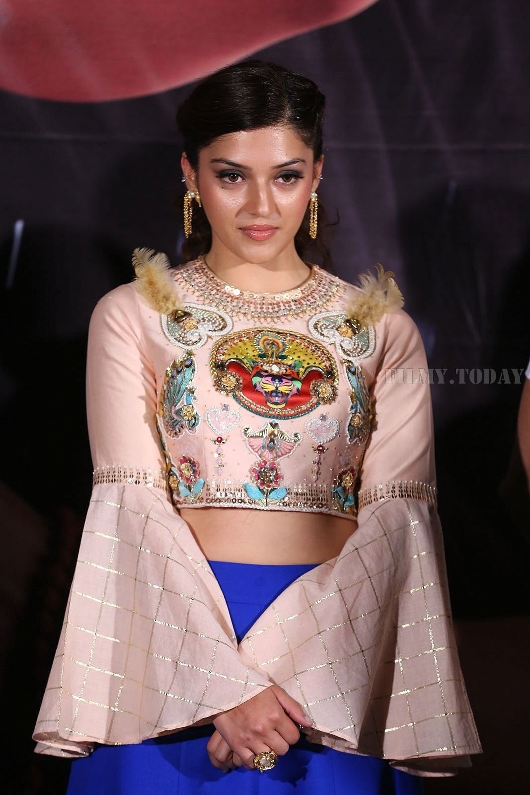 Mehreen Kaur - Raja The Great Movie Theatrical Trailer Launch Photos | Picture 1534014