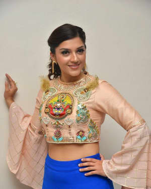 Mehreen Kaur - Raja The Great Movie Theatrical Trailer Launch Photos | Picture 1533949