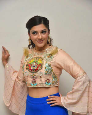Mehreen Kaur - Raja The Great Movie Theatrical Trailer Launch Photos | Picture 1533950