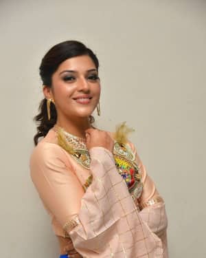 Mehreen Kaur - Raja The Great Movie Theatrical Trailer Launch Photos | Picture 1533946