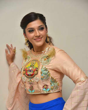 Mehreen Kaur - Raja The Great Movie Theatrical Trailer Launch Photos | Picture 1533948