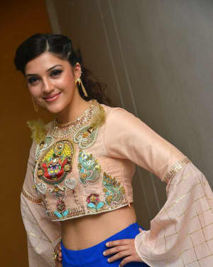 Mehreen Kaur - Raja The Great Movie Theatrical Trailer Launch Photos | Picture 1533959