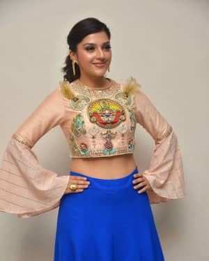 Mehreen Kaur - Raja The Great Movie Theatrical Trailer Launch Photos | Picture 1533958