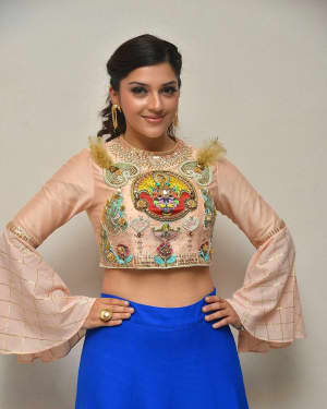 Mehreen Kaur - Raja The Great Movie Theatrical Trailer Launch Photos | Picture 1533951