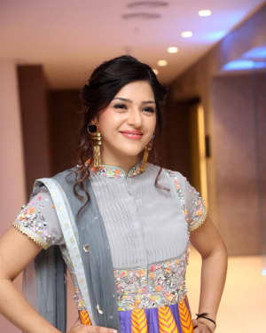Mehreen Kaur Pirzada at Raja The Great Movie Success Meet Photos | Picture 1538634