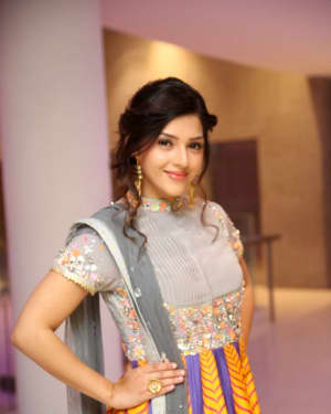 Mehreen Kaur Pirzada at Raja The Great Movie Success Meet Photos | Picture 1538662