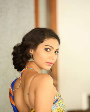Actress Simran Hot in Saree Photos | Picture 1591954