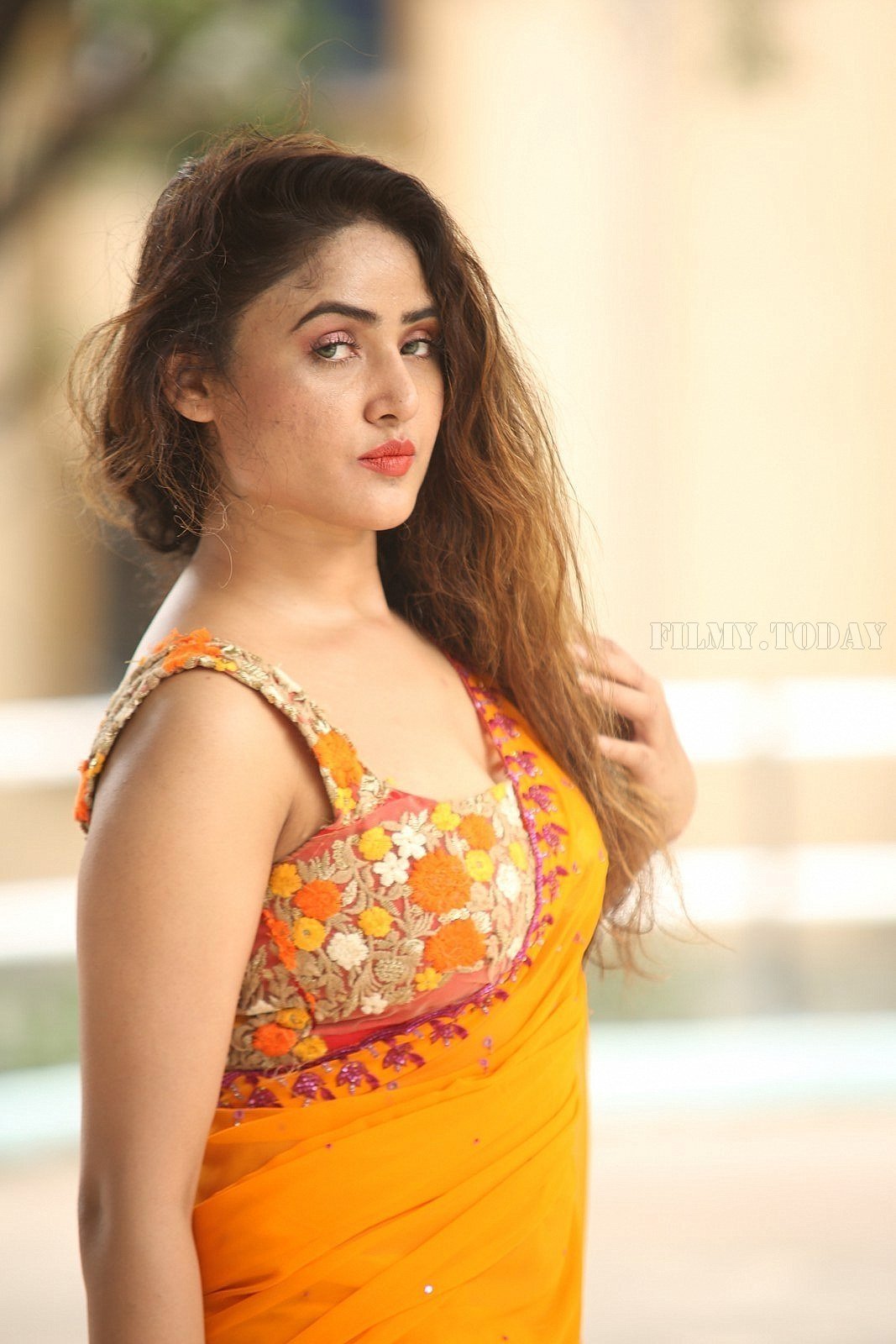 Actress Sony Charishta Hot In Saree Photos | Picture 1592365