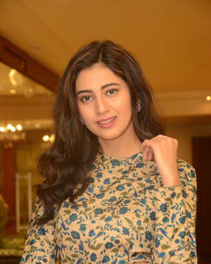 Actress Andleeb Zaidi Latest Photos | Picture 1592917