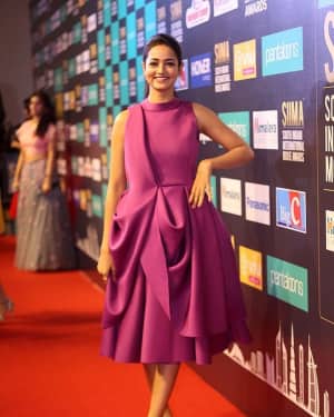 Shanvi Srivastava - Siima 7th Edition Curtain Raiser and Short Film Awards Photos